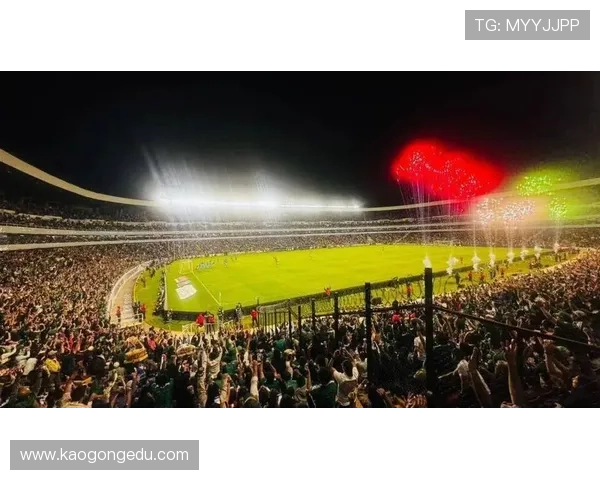 世界杯是这样世界杯体育论坛